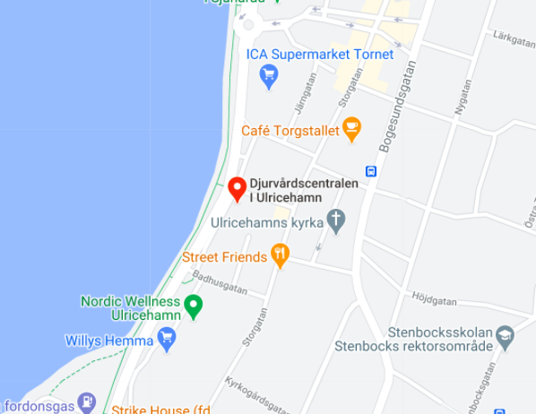 Kartbild till Djurvårdscentralen i Ulricehamn