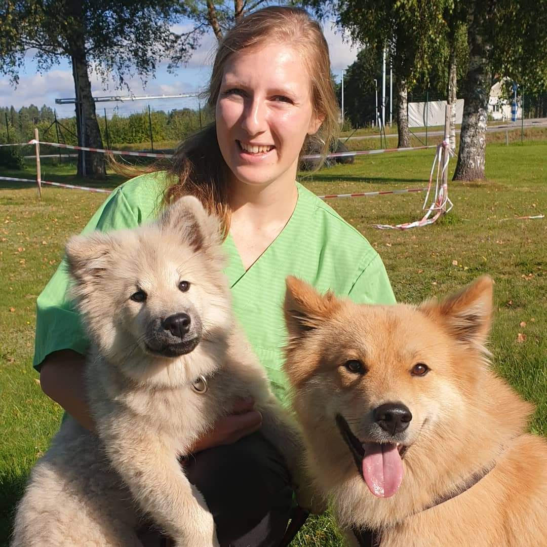 Bild på Hanna Claesson med två hundar